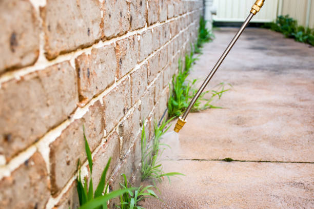 Pest Control for Warehouses in Mcgehee, AR